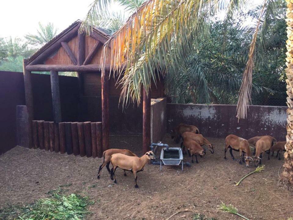 Farmhouse Farm stay *